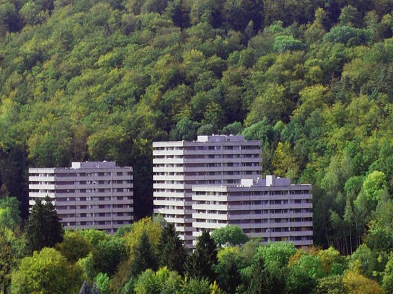 Waldoase I Inkl Sauna-Und Schwimmbadnutzung Bad Harzburg Exterior photo